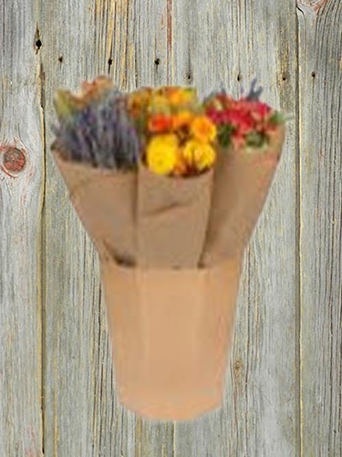 Wholesale Market Single Orange Dried Bouquets Delivered Online FlowerFarm